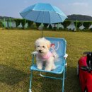 레이크 가든 이미지