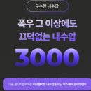 빅인스퀘어 | 로티캠프 빅스퀘어 누수 A/S 후기 🏕 폭우 속 캠핑 경험담