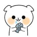 황제스킨케어 이미지