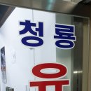 용인대 청룡유도관 이미지