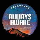 빈지노 - Always Awake 이미지