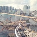 암남공원 이미지