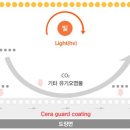 세라가드 이미지