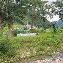 Biz공인중개사사무소 이미지