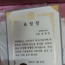 낙동이용소 Daum카페