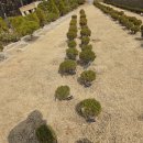 반송목장 이미지