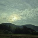 여-백 이미지