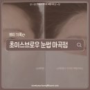 초이스타워 | 초이스브로우 눈썹 마곡점ㅣ자연스러운 헤어라인 후기 마곡자연눈썹 유명한 곳