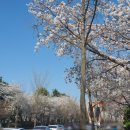 유림-1012 이미지