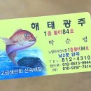 해태수산 | 노량진수산시장 모둠회ㅣ해태광주 오마카세 포장 후기