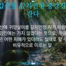 삼수갑산 - 강릉시 | 삼수갑산
