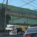 신목 공용주차장 | 원주 반계리 은행나무 강원도 단풍 명소 실시간 현황 주차 꿀팁