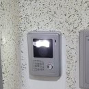 광성비디오 이미지