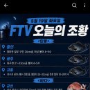 FTV 오늘의 조황 이미지