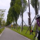 비봉자전거 이미지