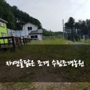 수림조경 이미지