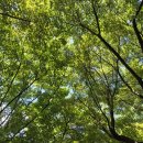 삼척산양농산촌체험마을 | 블챌 이거 얼마나 하려나