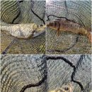 훼미리낚시터 이미지