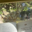 새육일약국 네이버블로그