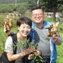 세미영농조합법인 이미지