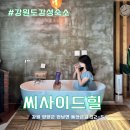 힐하우스 | 강원도 양양 독채 감성 숙소 씨사이드힐 오션뷰 루프탑 맛집 후기