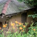 즘골마을 이미지