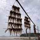 서산펜션 해뜨는비치 | [서산 여행/서산 숙소] 서산 펜션해뜨는비치 주차, 족구장, 탁구장, 갯벌체험, 시설 (2024.10.26~27)