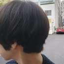 서귀포라온헤어 이미지