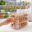 pet26누9111 | 자판기처럼 꺼내 먹는 신박한 30구 계란 보관함