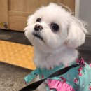 하나로365약국 이미지