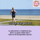 꿈나루