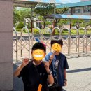 태평농장 | 슬픔은 늘 떼로 온다 기쁨은 없다