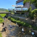 스타벅스 인근(미각방향) | 용인 고기리 계곡 스타벅스 주말 주차 경기도 여행지 추천
