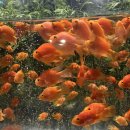 영원목장 | 순간 속의 영원