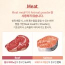 헤이독 이미지