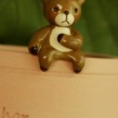 페트리코 이미지