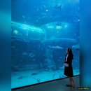 ㈜신행 | #. 지니의 여행 일기 - 유월드 루지 테마파크 &amp; 아쿠아플라넷 여수