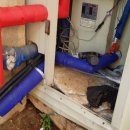 온천대로 이미지