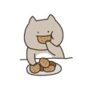 요찌요찌