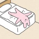 천경대키즈풀빌라 이미지