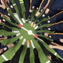 병길1 | 수원여자축구 장안구실내축구 너무 즐거웠던 솔레이디FC 자체정기전