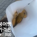 이편한도그 네이버블로그