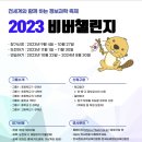 비버코딩 이미지