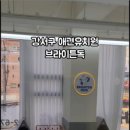 브라이튼독 이미지