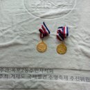 덕포 펭귄 이미지