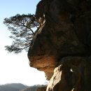 아라메길 (천년미소길) | 서산여행 ㅣ 아라메길 1코스 천년의 미소길