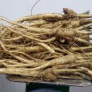 금산농장 이미지