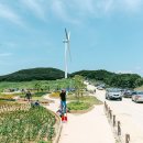 육백마지기 이미지