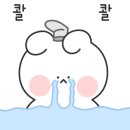 세븐일레븐인천정서진점 이미지