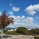 UN평화기념관 | [UNPM] 유엔평화기념관 글로벌 서포터즈 2024 UN Peace Road 걷기 대회 활동 후기